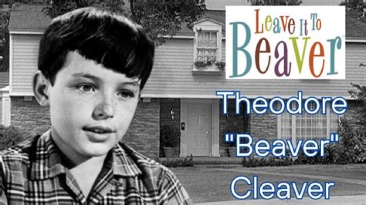 The Curious Case Of Theodore Cleaver's Beaver Nickname